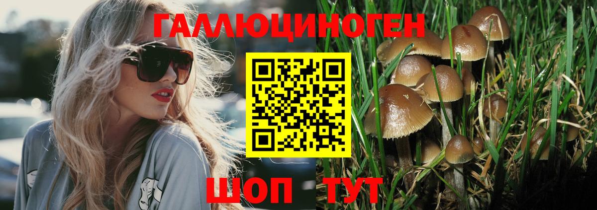 Галлюциногенные грибы MAGIC MUSHROOMS Вышний Волочёк